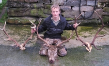 Some nice highland stags