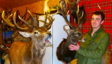 A close up of bens 12 pointer sika